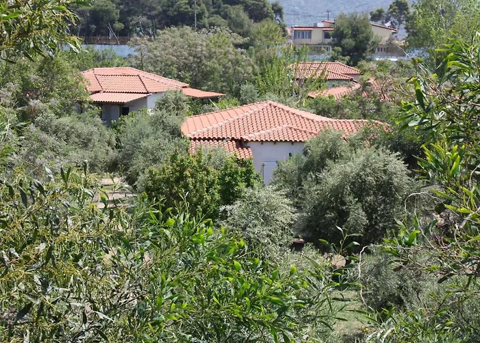 Nikos 8 Kakovatos (Elis)